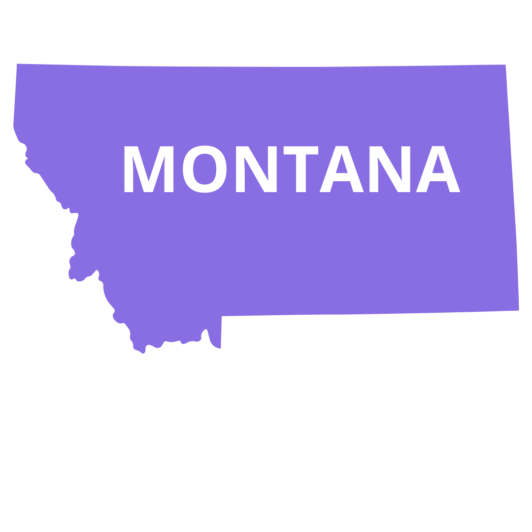 MONTANA 2024 Abortion State Ballot Measure AMSA